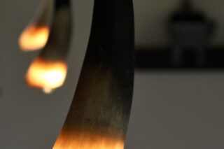 Hornlampe hängend